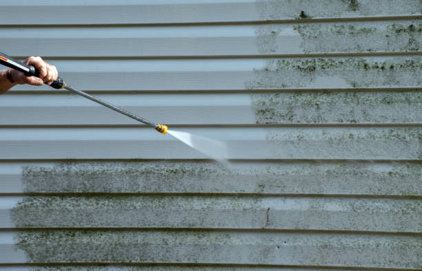 Best Roof Washing  in Anoka, MN